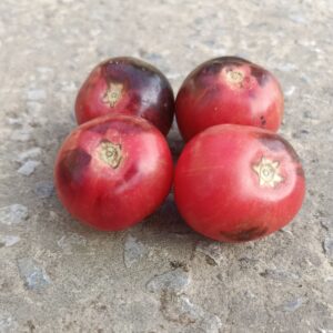 Black Strawberry