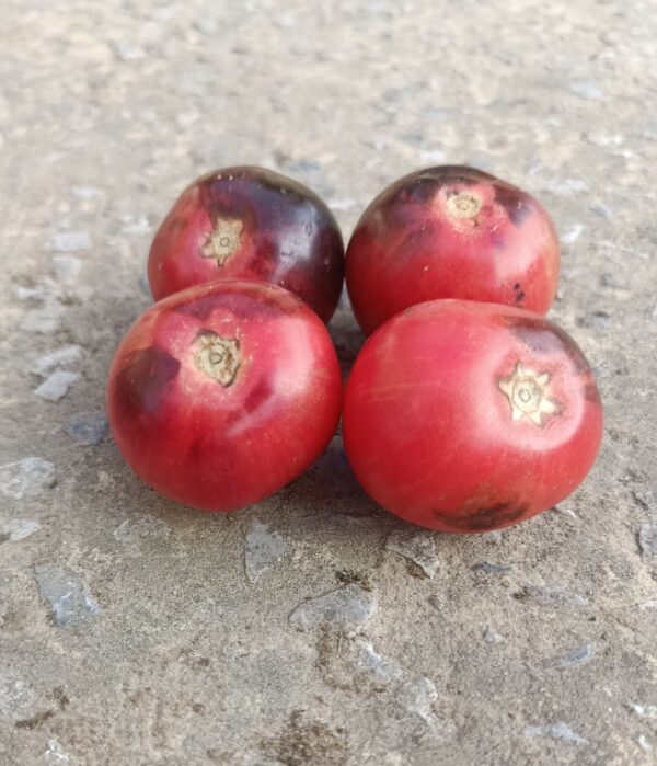 Black Strawberry
