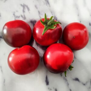 Little Red Corvette (ISOLÉE)