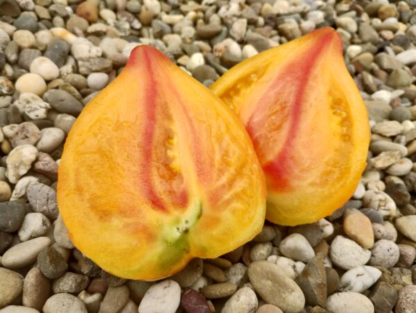 Orange Mango – Image 2