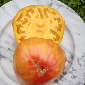 Tomates collection Bill Yoder