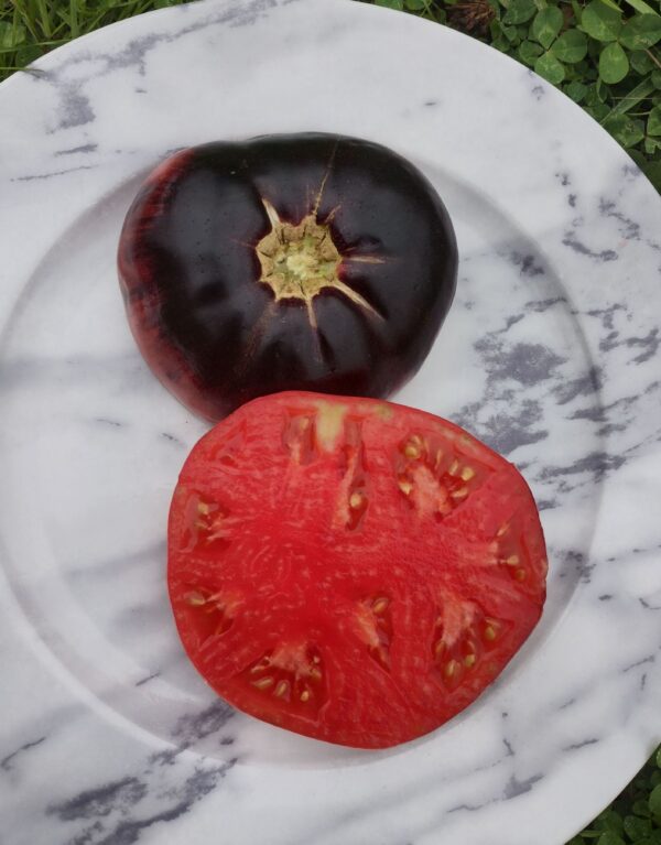 Sofia's Purple Apple