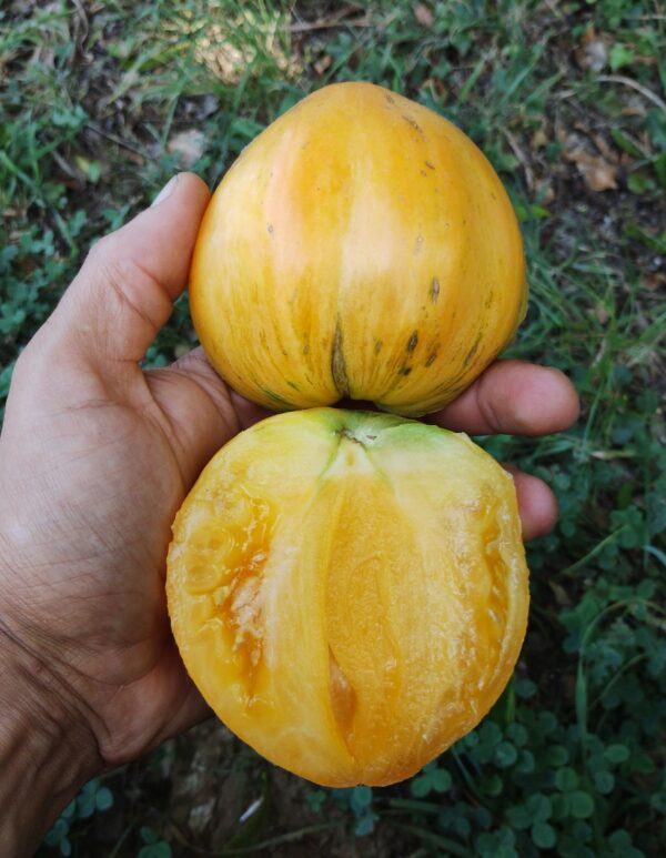 Melon Liqueur – Image 3