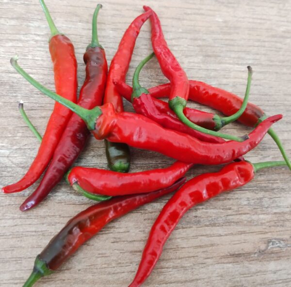 cayenne x black pearl – Image 4