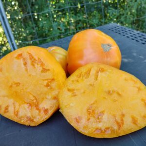 Kentucky Beefsteak