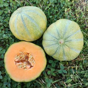 Autres fruits et légumes