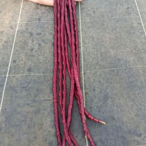 Haricot kilomètre Red Noodle